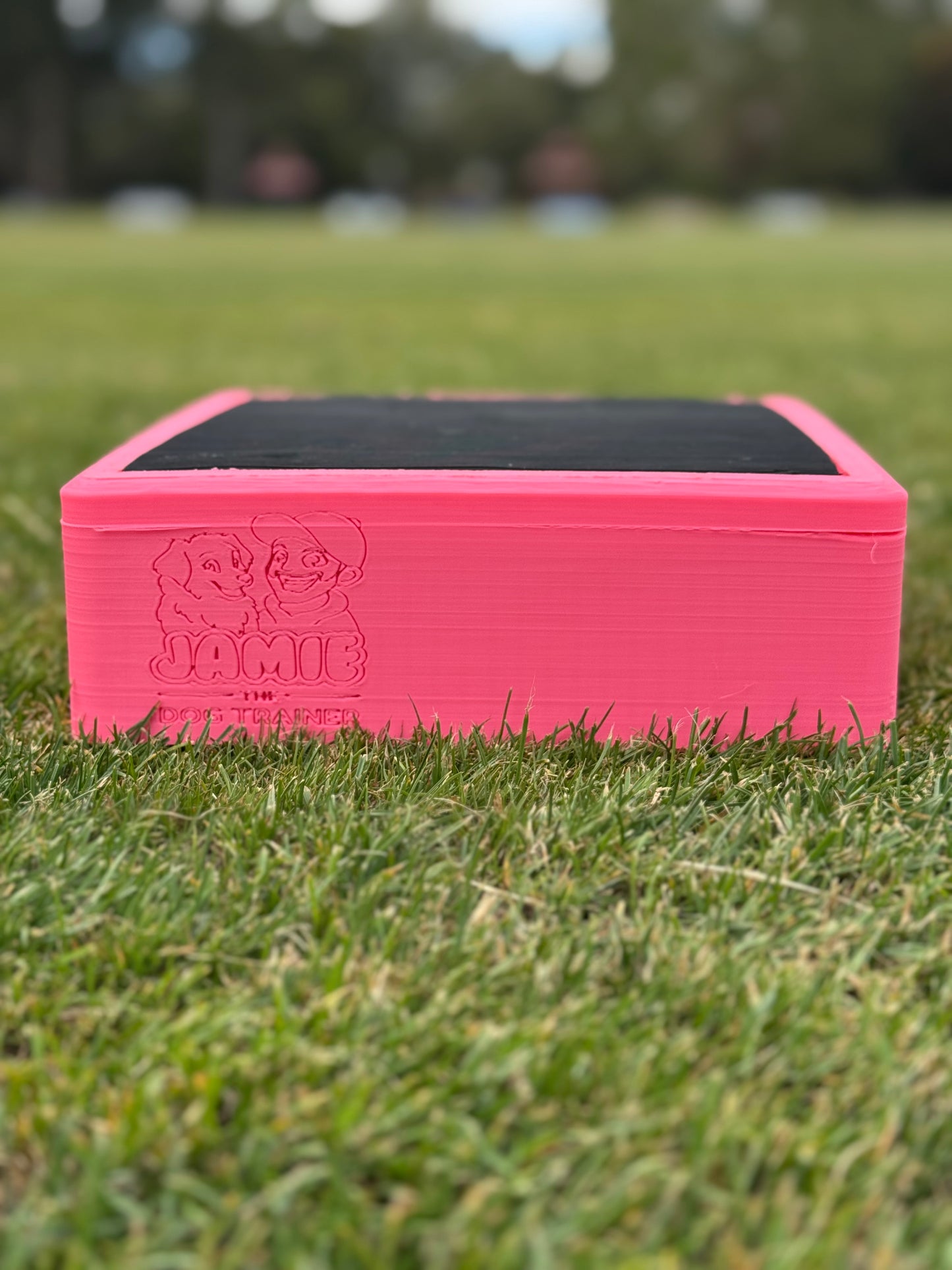 Pivot Box Version 2!